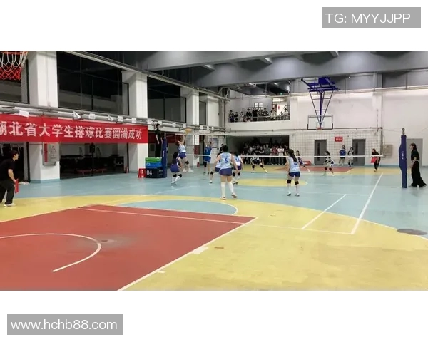 武汉排球队实力对比深度分析及未来发展潜力探讨 武汉排球队实力对比深度分析及未来发展潜力探讨