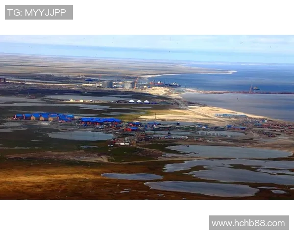 亚马尔地区的能源战略与全球气候变化的相互影响分析 亚马尔地区的能源战略与全球气候变化的相互影响分析