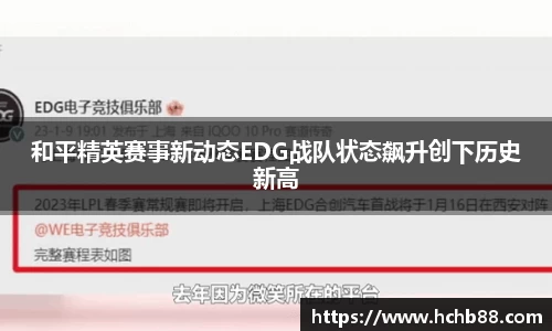 奇异果wygvip