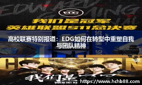 奇异果wygvip