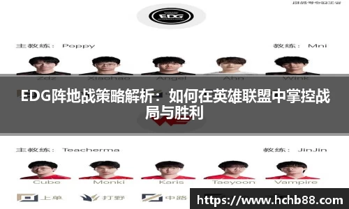 奇异果wygvip