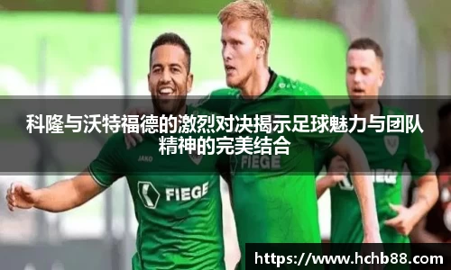 mgty奇异果体育